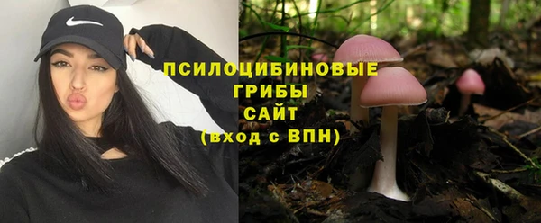 ПСИЛОЦИБИНОВЫЕ ГРИБЫ Алексеевка