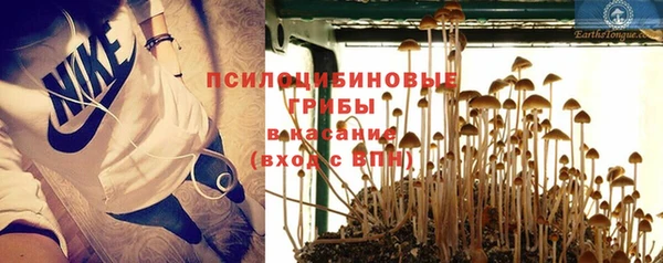 молекула духа Алзамай