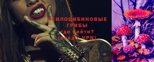 ПСИЛОЦИБИНОВЫЕ ГРИБЫ Алексеевка