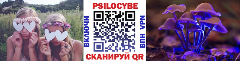 Псилоцибиновые грибы Cubensis  Берёзовский 